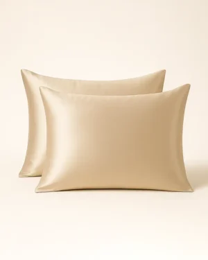 22 mm Mulberry Silk Pillowcase 2pcs - Envelope - Beige, Twin